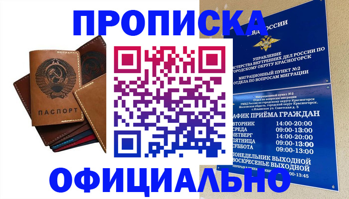 временная прописка в Щиграх